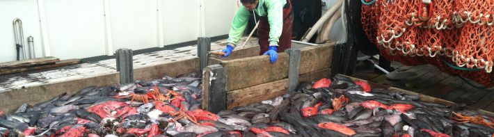 Pacific Fisheries Bycatch Program