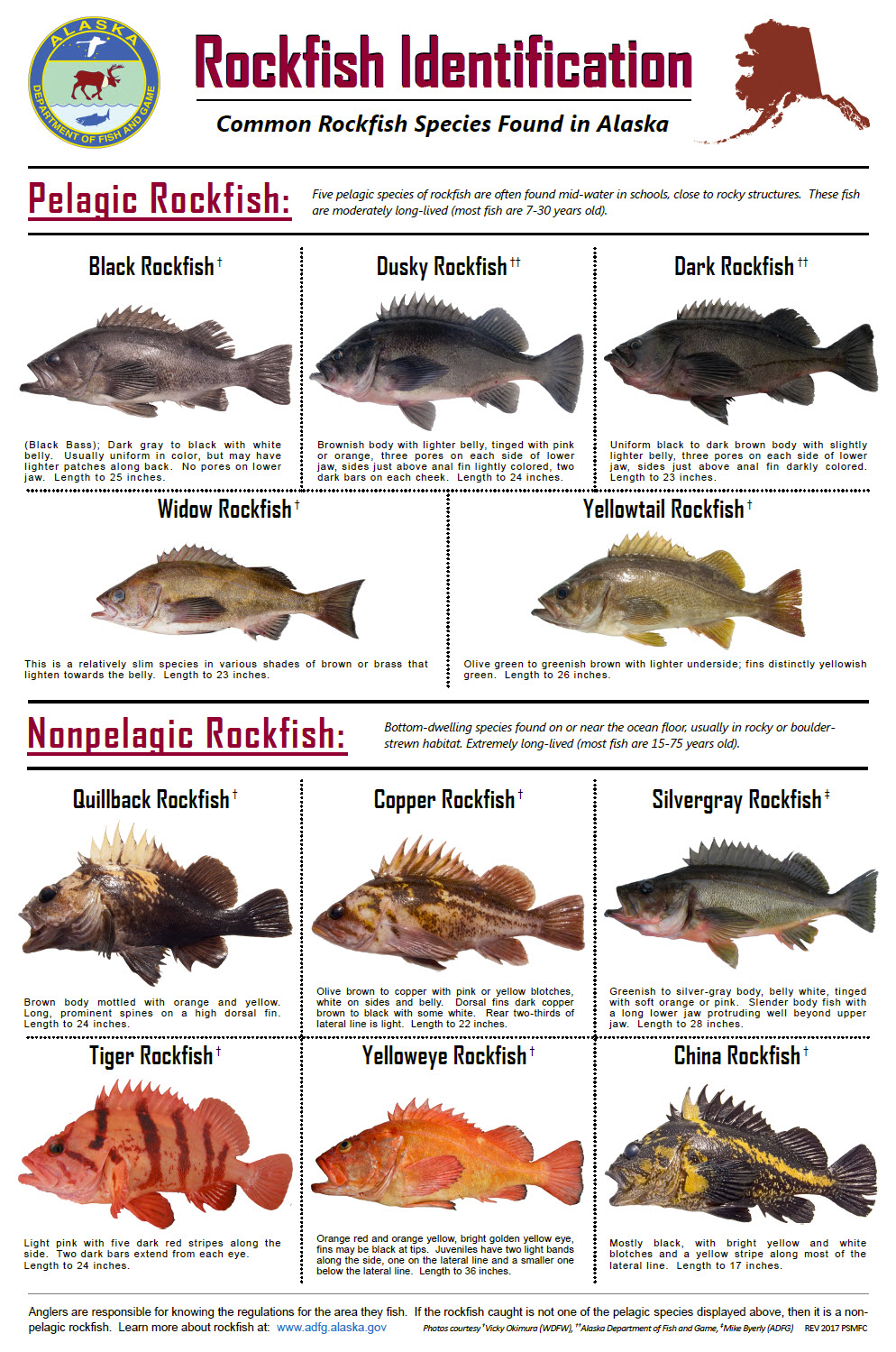 posters from the 71st annual meeting pacific states california rockfish identification chart