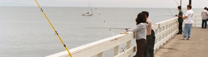 Recreational Fisheries Information Network (RecFIN)