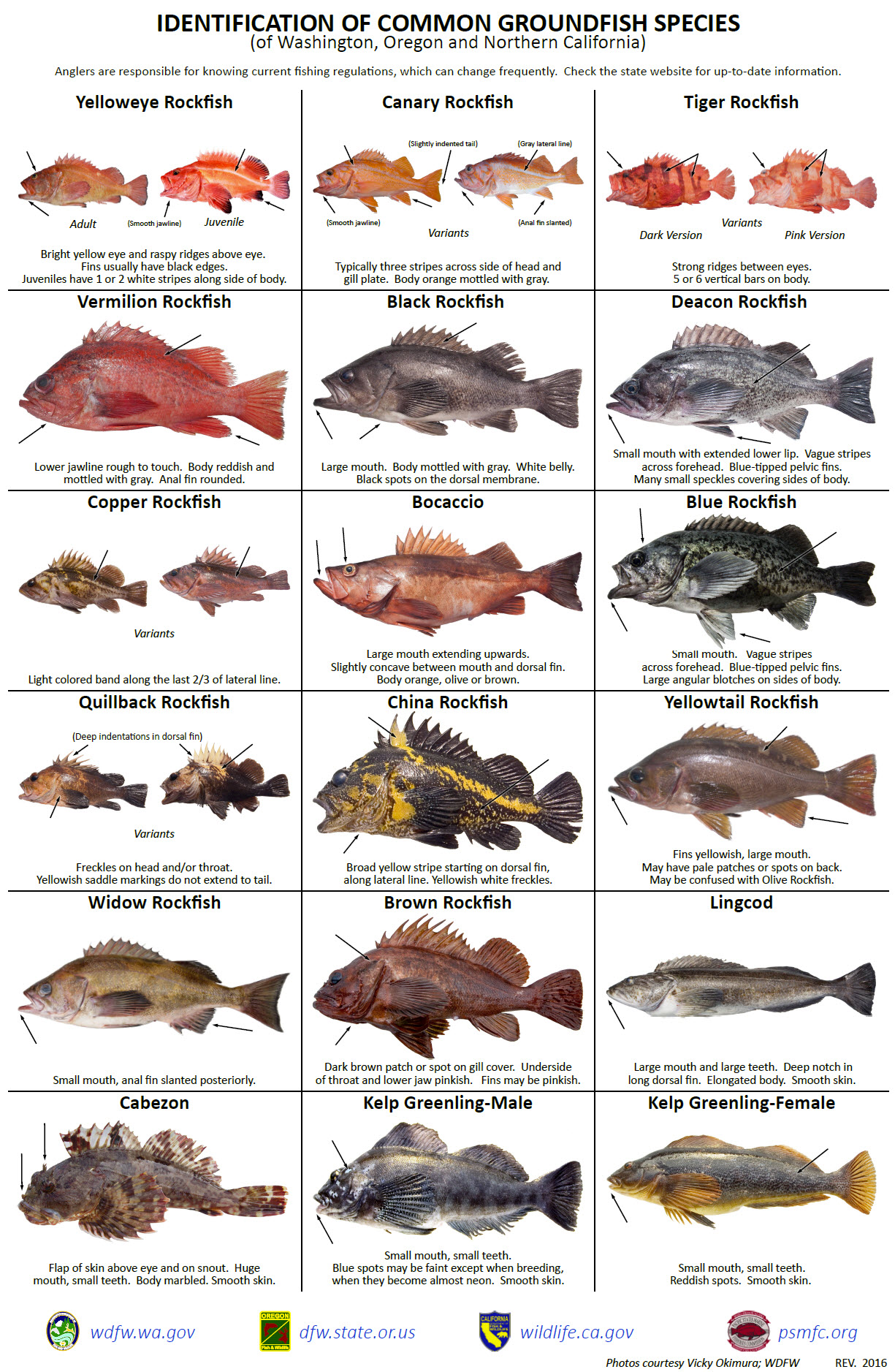 Posters From The 69th Annual Meeting Pacific States