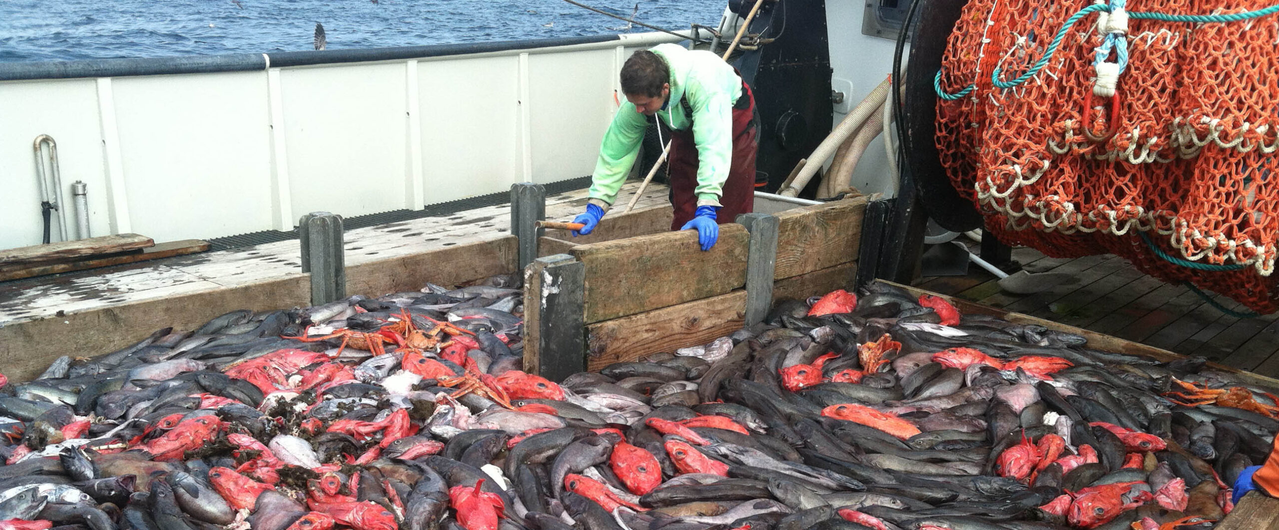Pacific Fisheries Bycatch Program