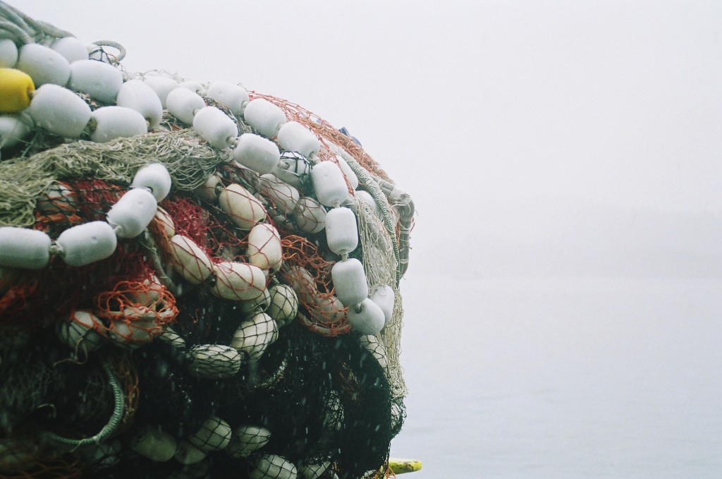 West Coast and Alaska Fisheries Economic Data Program (EFIN/AKFED)